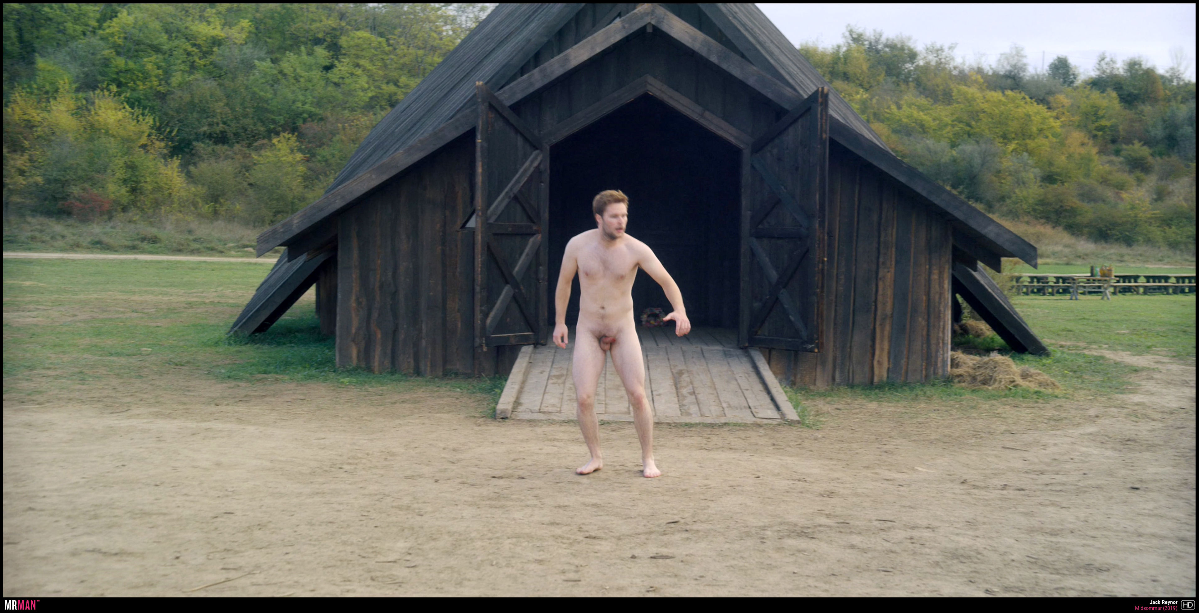 Midsommar movie scene male nude