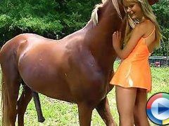 Sex mit pferden