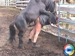 Pferd hat sex mit frau